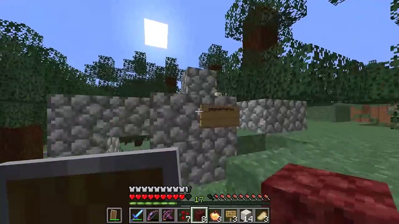 Minecraft WTF Moments | Minecraft Funny Fails And WTF Moments | BCC TV #6