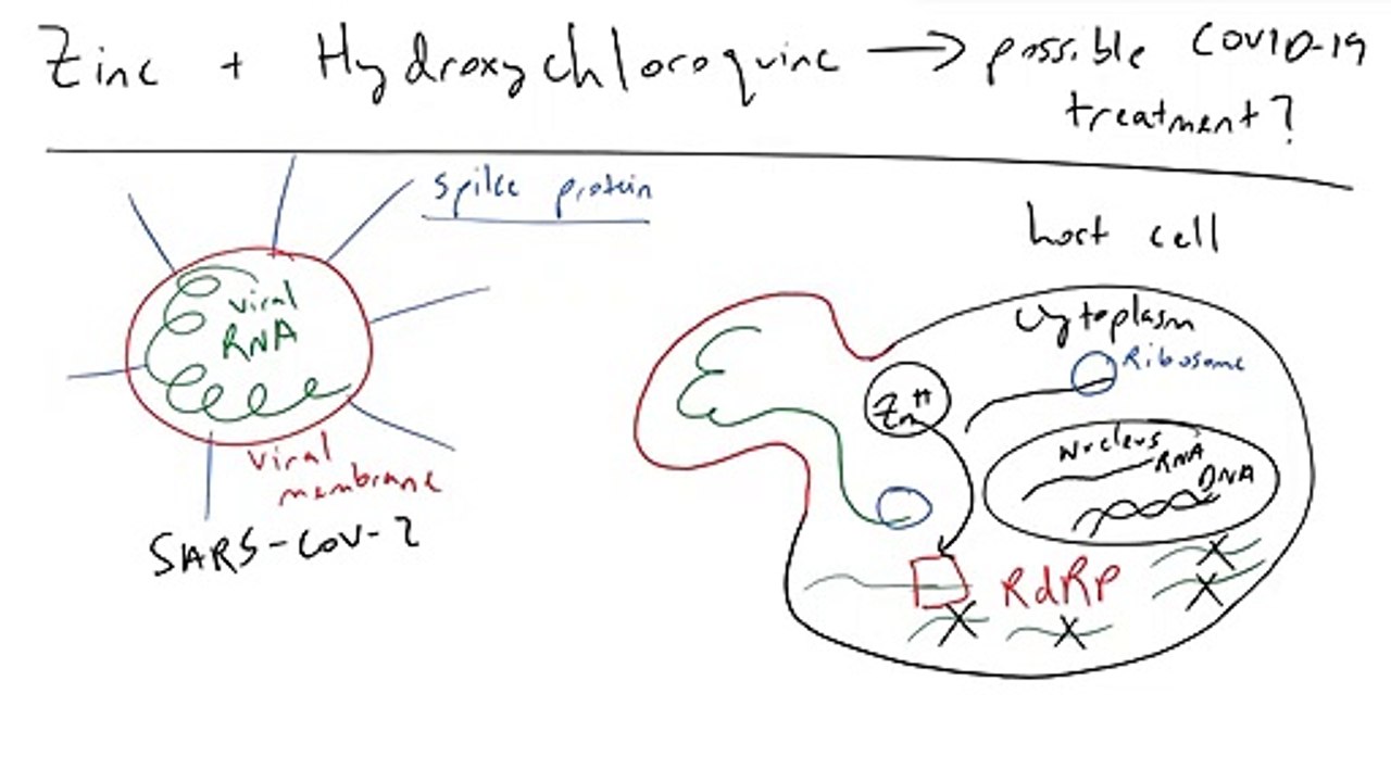 How Zinc and Hydroxychloroquine could be a COVID 19 Treatment