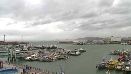 [날씨] 휴일 내륙 소나기, 태풍 '마이삭' 한반도 직접 영향 / YTN