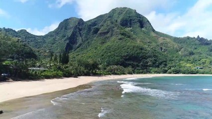 Kauai Aerial Video of Paradise.