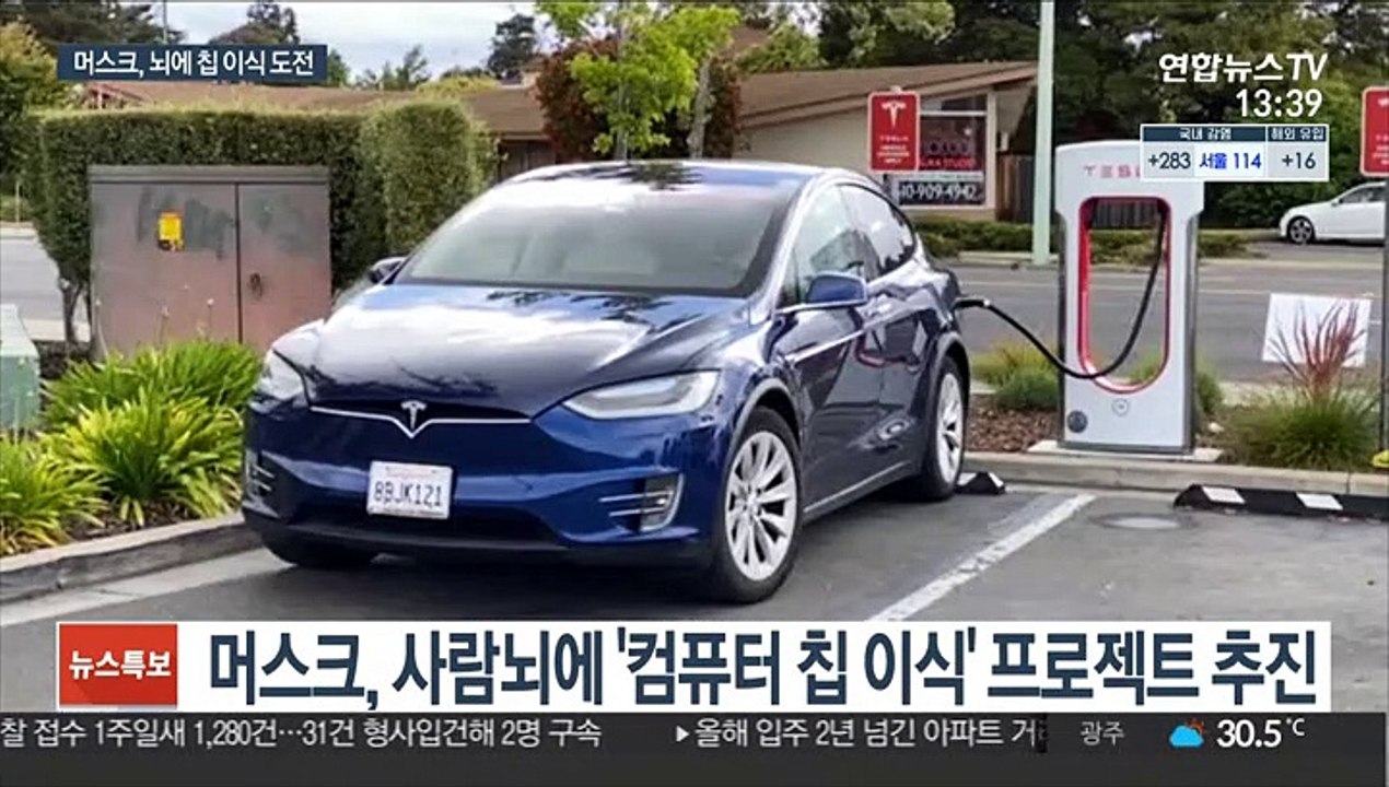 '뇌에 칩 이식' 돼지 공개한 머스크…사람 두뇌에도?