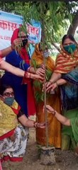भारत विकास परिषद के द्वारा महिलाओं ने किया पौधारोपण