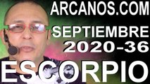 ESCORPIO SEPTIEMBRE 2020 ARCANOS.COM - Horóscopo 30 de agosto al 5 de septiembre de 2020 - Semana 36