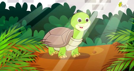 I Had A Little Turtle - Tiny Tim - Nursery Rhymes for Kids - Education Park