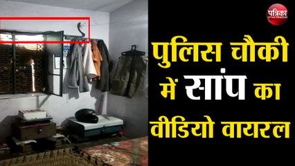 पुलिस चौकी में सांप का वीडियो वायरल