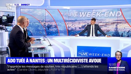 Ado tuée à Nantes: un multirécidiviste avoue (2) - 30/08
