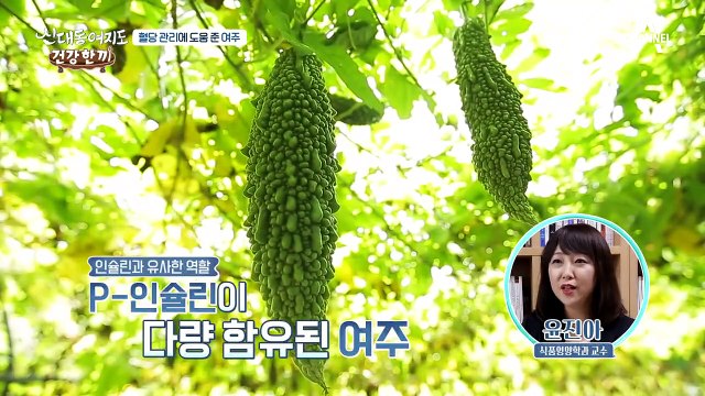 혈당 쑥쑥 낮추는 도깨비 방망이 ＊여주＊