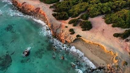 동성성관계 영상 유명 여행 커뮤니티 '여행에 미치다' 음란물 게시 논란 국내 양떼 대표 오사카 양양 제주도 인도 뉴질랜드 서울 도쿄 남해 이탈리아 제주 경주