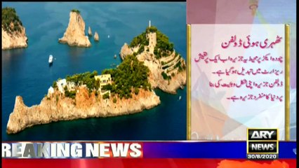 Amazing Dunya | ARYNews | 30 August 2020