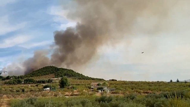 Continúan las tareas de extinción del incendio declarado en el paraje de Los Porriones de Mula