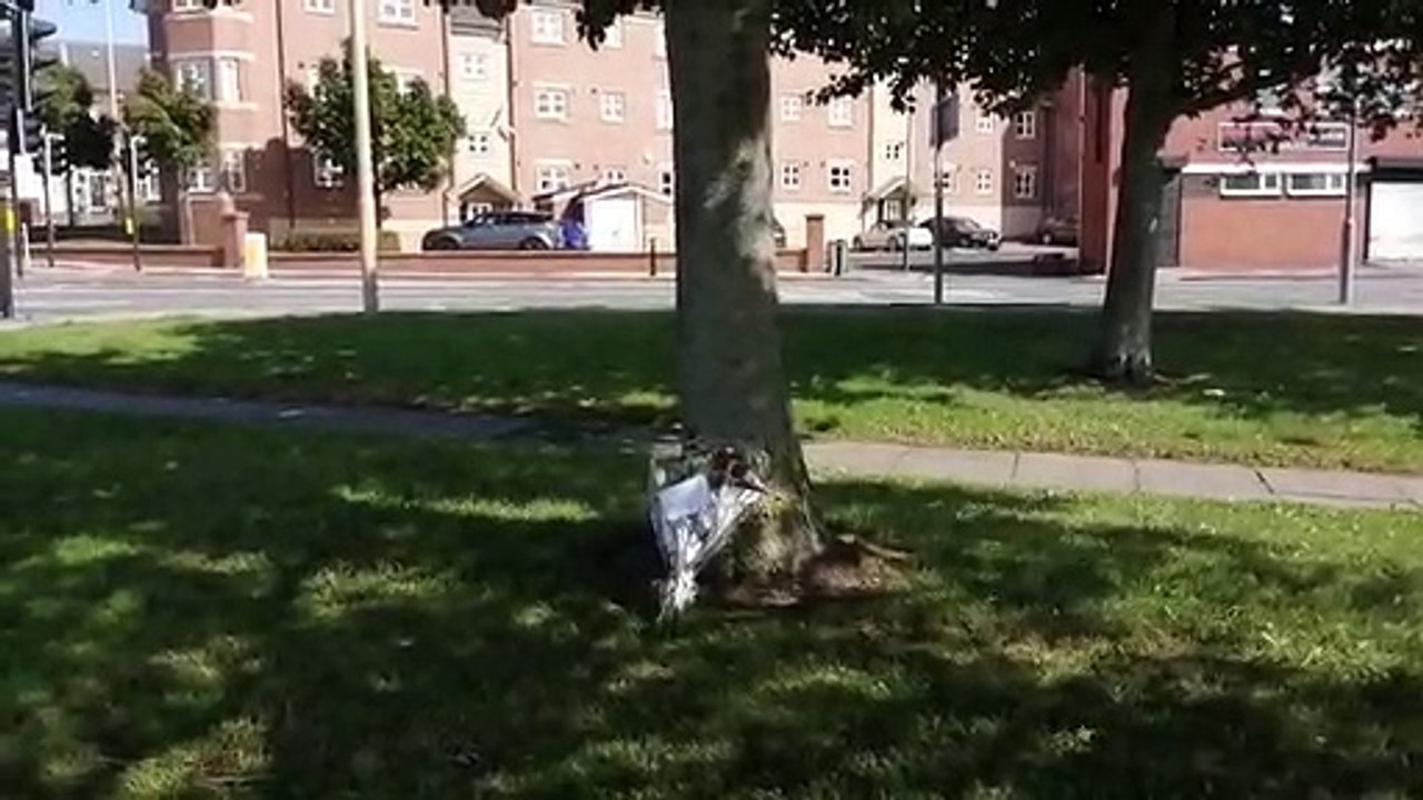 Floral tributes to woman killed in South Shields bus crash tragedy