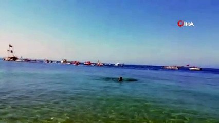 Avşa'da 30 Ağustos tekneler ile kortej eşliğinde kutlandı