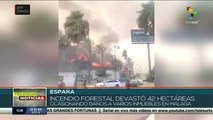 España: incendio forestal devasta 42 hectáreas en Málaga