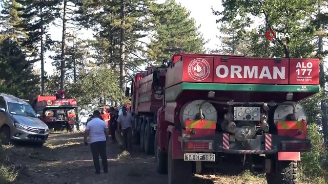 Ormanda çıkan yangın kontrol altına alınmaya çalışılıyor