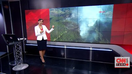 Son dakika haberi... Zonguldak'ta orman yangını! 100 dönümlük alan etkilendi | Video