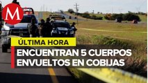 Hallan cinco cuerpos en Fresnillo, Zacatecas