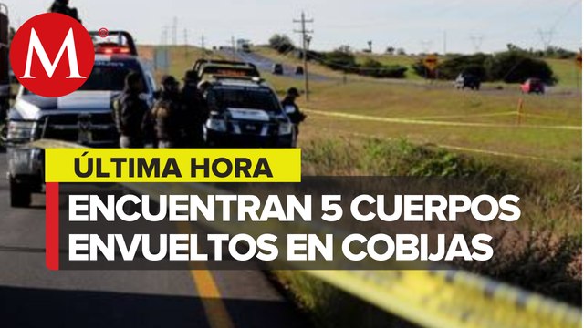 Hallan cinco cuerpos en Fresnillo, Zacatecas