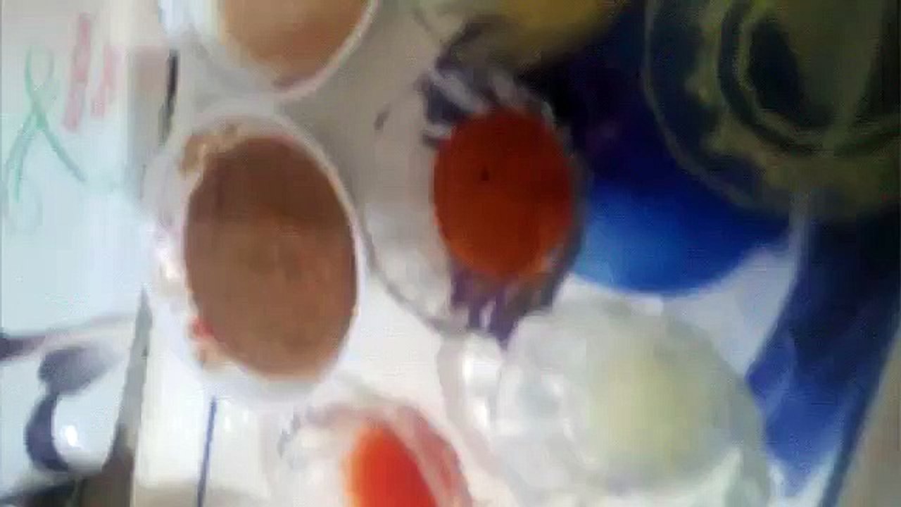 Chicken Roll paratha & gravy (By Nazz Cooking)
