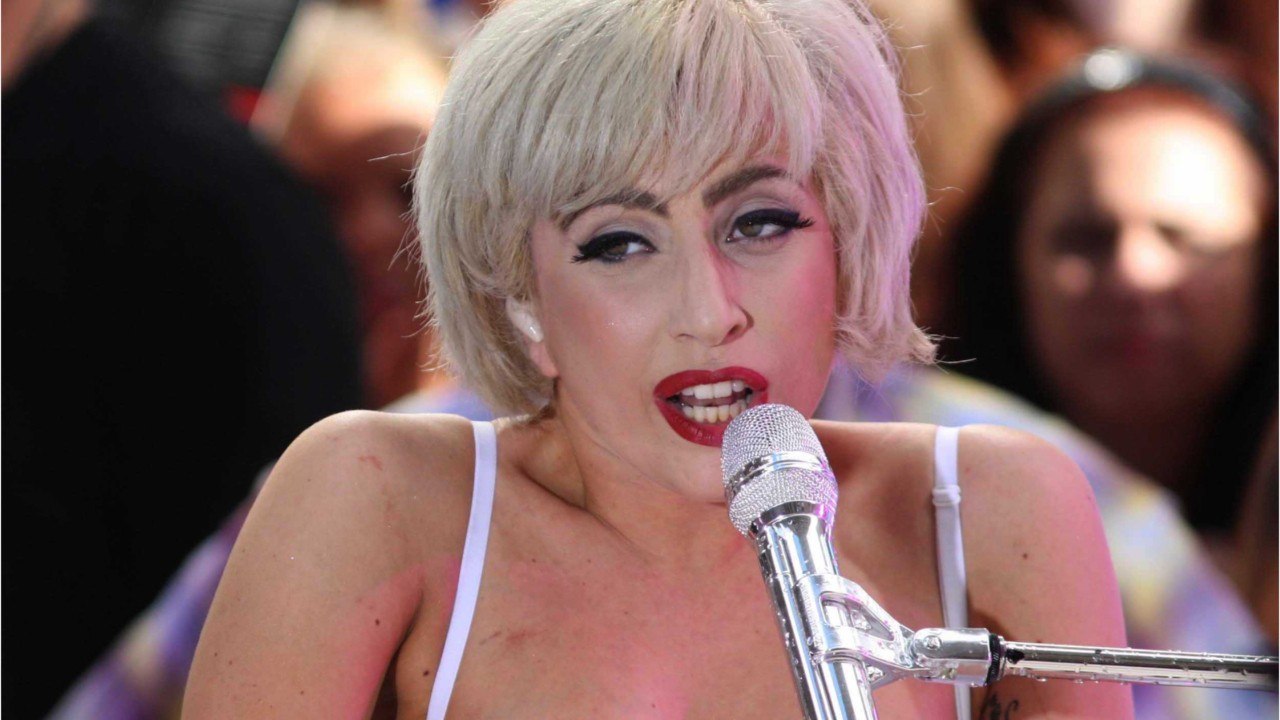 Lady Gaga Waist-Length Pink Hair