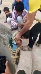 Child saved dog's life