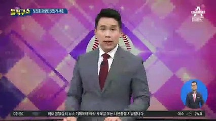 ‘정진웅 감찰’ 정진기 서울고검 부장 사표