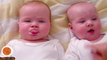 Funny Twins Baby Arguing Over Everything