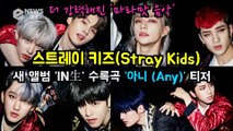 스트레이키즈(Stray Kids), 신곡 '아니 (Any)' 티저 '더 강렬한 마라맛'