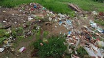 इटावा: गांव के तालाबों की नहीं हो रही साफ सफाई