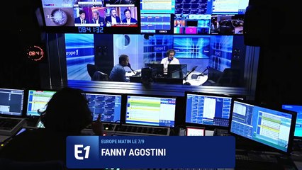 Régénération naturelle assistée : comment reboiser sans planter un arbre ?