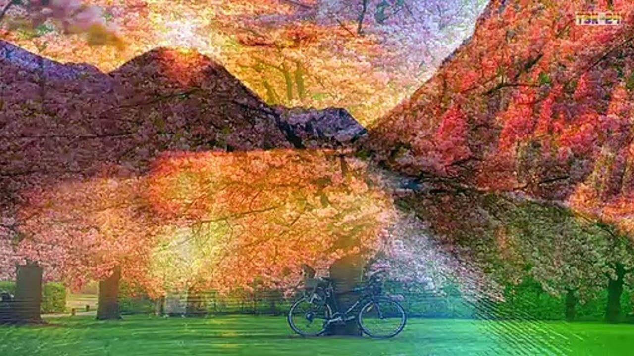 Most Beautiful Natural Scenery in the World