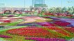 The Most Beautiful Flower Fields Around The World