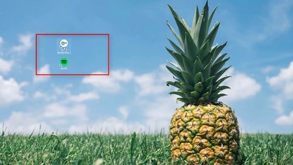 How to Import Spotify Music to InShot