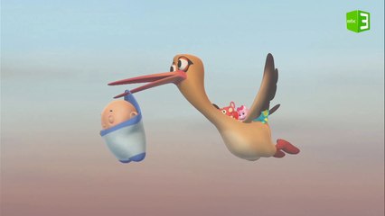 الطائر ينقذ الرضيع 