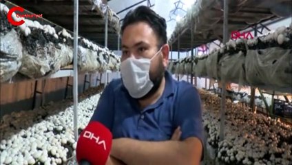 Üretim çiftliği kurdu! 8 bin lira kar elde ediyor