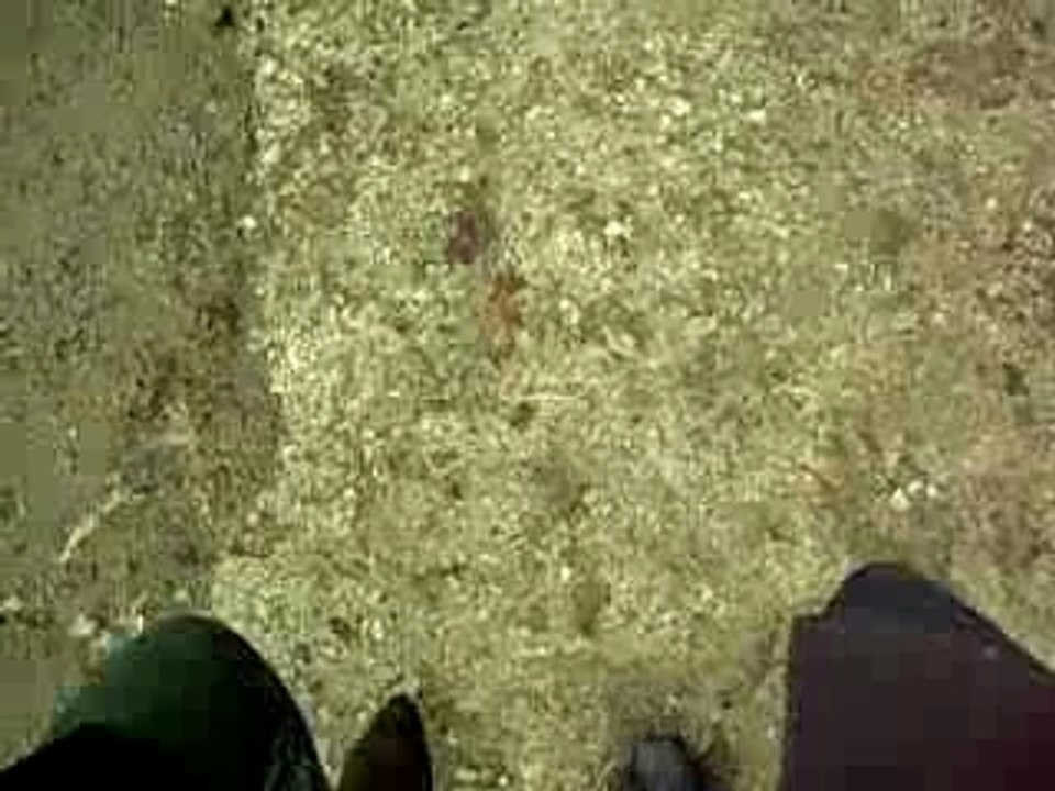 DSCN1290