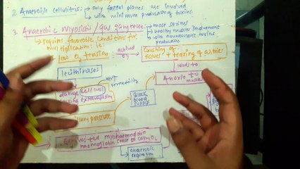 Gas Gangrene |CL:3| Microbiology Tutorial