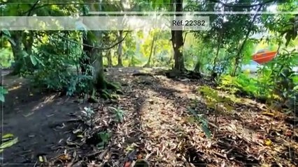 A VENDRE TERRAIN DE 1965M2 A HAAPITI-MOOREA (IDEAL COMMERCE)