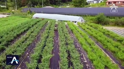 마을 이장 확진에 주민들 불안…“밤낮으로 마스크 써야”