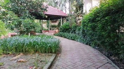 ব্যায়াম  রোগ  প্রতিরোধ  ক্ষমতা  বৃদ্ধি  করে