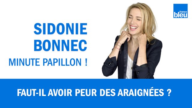 Faut-il avoir peur des araignées ? avec Sidonie Bonnec et le naturaliste Marc Giraud