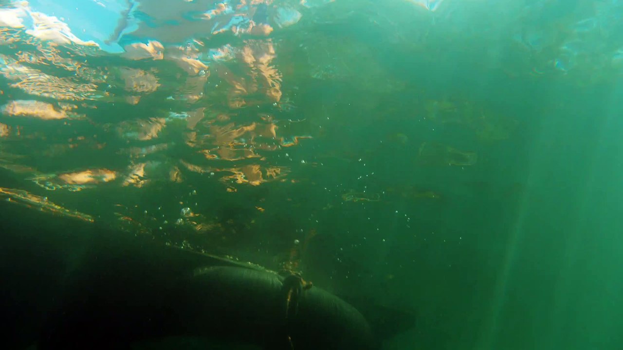 SOMMER-REBELLEN Film