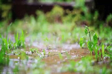 MVGEN: Boards of Canada : Gyroscope