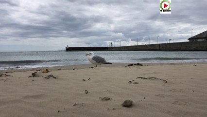 Quiberon  |  Fin des Vacances Scolaires - TV Quiberon 24/7