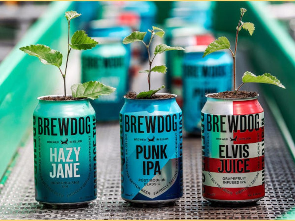 This Sustainable Scottish Brewery Says It Will...