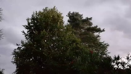 Un soir d'orage