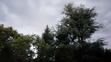 Un soir d'orage chez les poilus