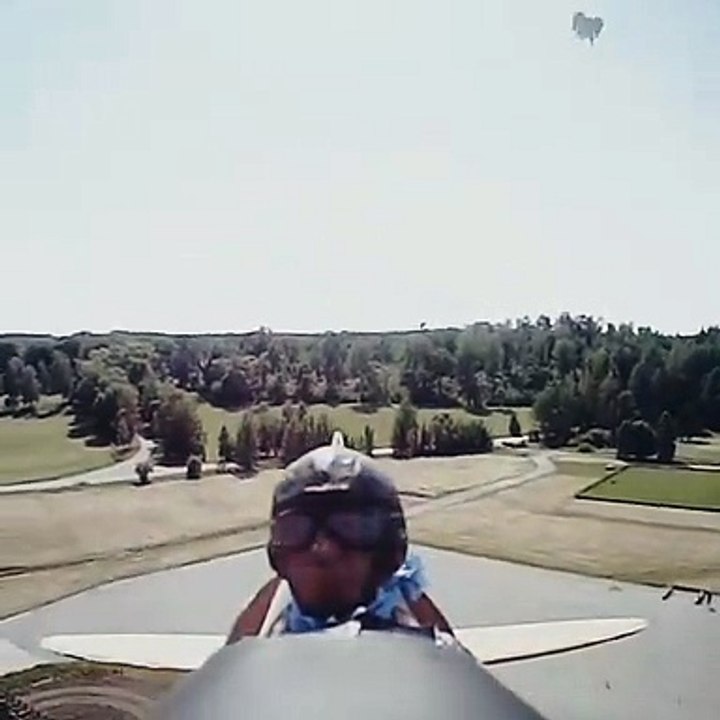 Faucon vs Avion radiocommandé