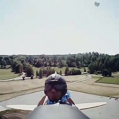 Faucon vs Avion radiocommandé