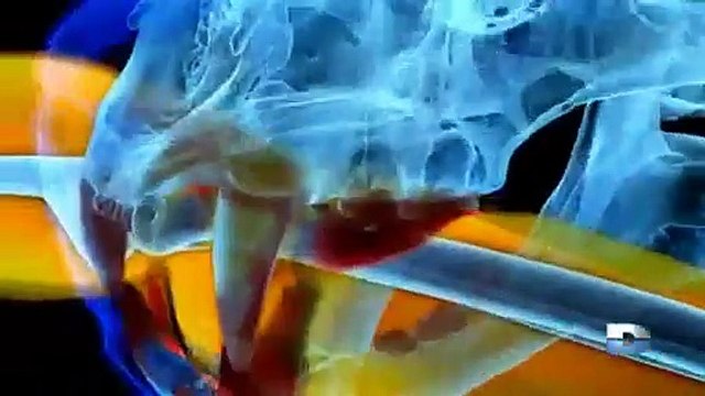 Dévoré vivant : Les tueurs de la savane