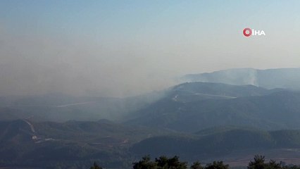 Suriye sınırının sıfır noktasında orman yangını